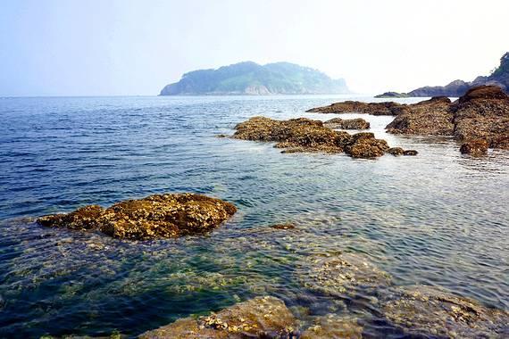 夏季时尚编发