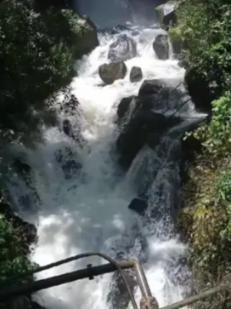 脑洞小老弟无实名认证